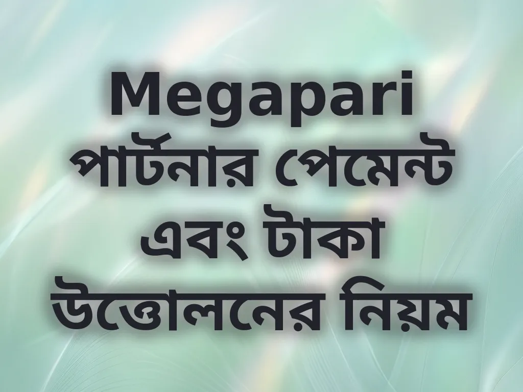 Megapari পার্টনার পেমেন্ট এবং টাকা উত্তোলনের নিয়ম